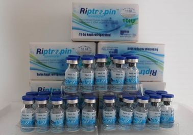 Riptropin - HGH 10 IU Purity 98% Original HGH Human Growth Hormone Peptides Jintropin