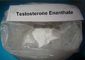 High purity Testosterone Steroids Powder Testosterone Enanthate CAS 315-37-7 For Bodybuilder