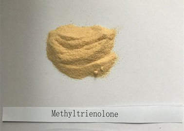 초심자 신진 대사 남성홀몬 스테로이드 Methyltrienolone 약 급료 965 93 5