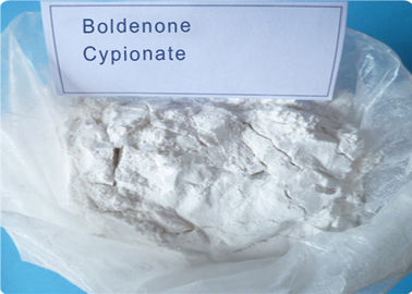 해결책 스테로이드 호르몬 익지않는 분말 Boldenone Cypionate (106505-90-2) 대담한 에이스