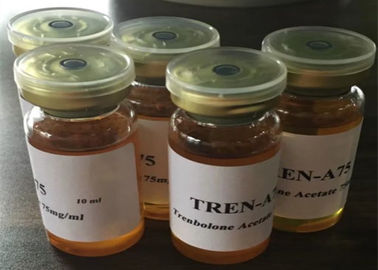 주사 가능한 100개 mg/ml Tren 신진대사 스테로이드 Trenbolone Enanthate는 작은 유리병에 의하여 끝난 기름 해결책 Tren E를 tren