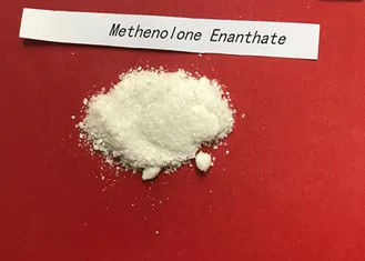 99% 신진 대사 Nandrolone 스테로이드 Methenolone Enanthate/Primobolan 저장소 CAS 303-42-4